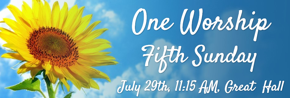 Sunflower Website Banner